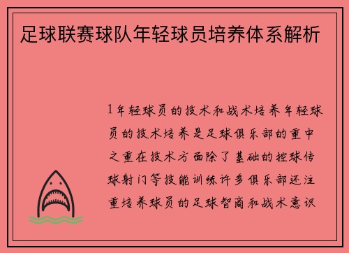 足球联赛球队年轻球员培养体系解析